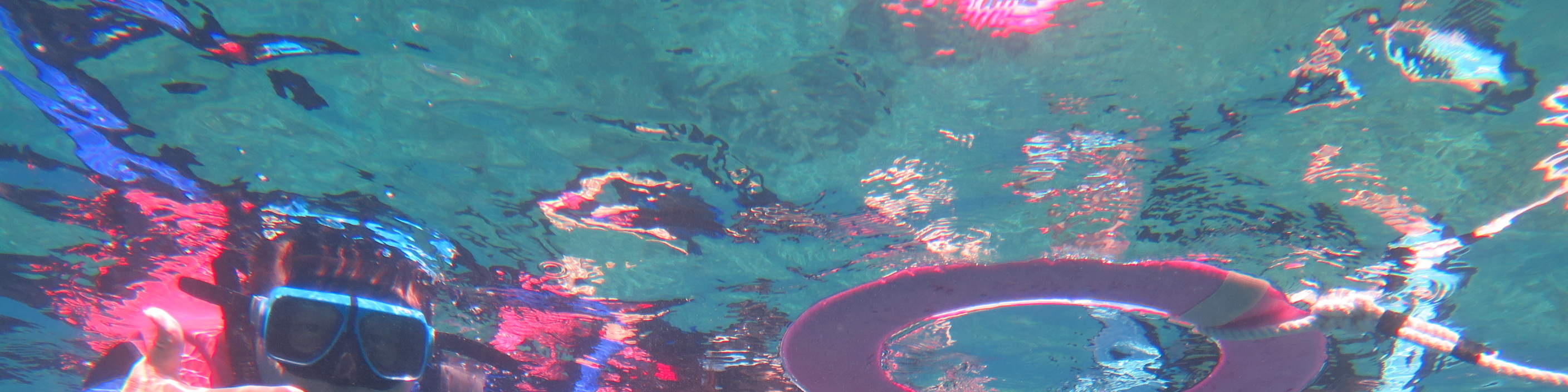 Pulau Xiaoliuqiu | Pengalaman Snorkeling dan Berenang Bersama Penyu | Beli 6 Gratis 1